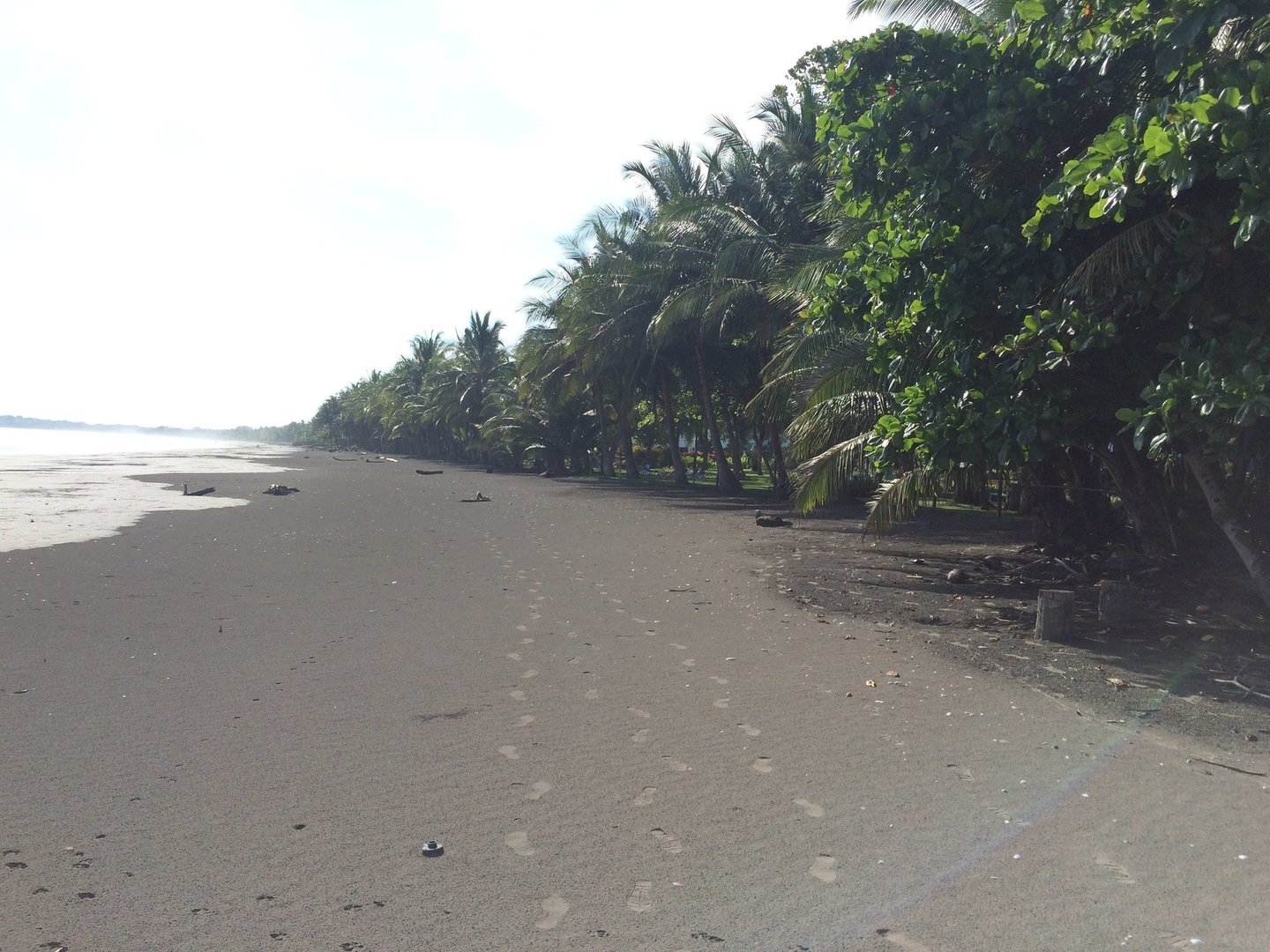 Costa Azul Surf School